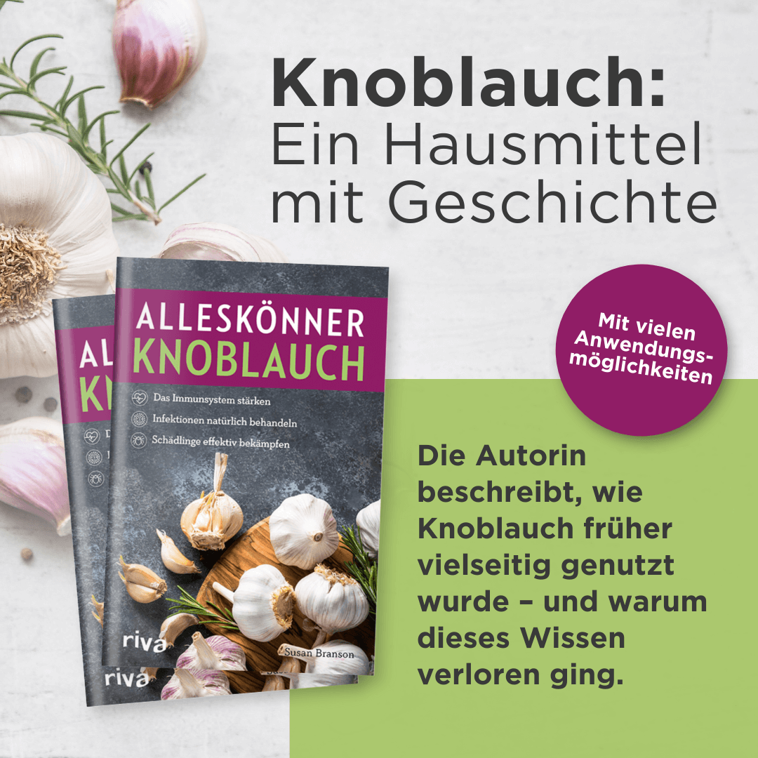 Alleskönner Knoblauch
