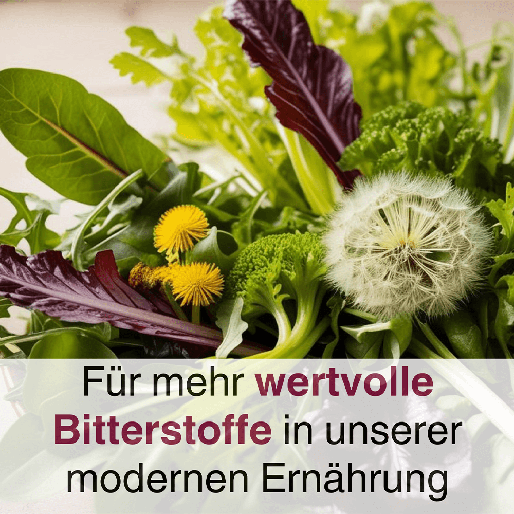 ANCENASAN® 49 Bitterkräuter-Konzentrat Ultra ohne Alkohol