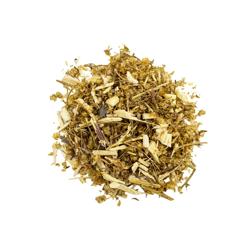 Bio Artemisia annua (Einjähriger Beifuß) geschnitten