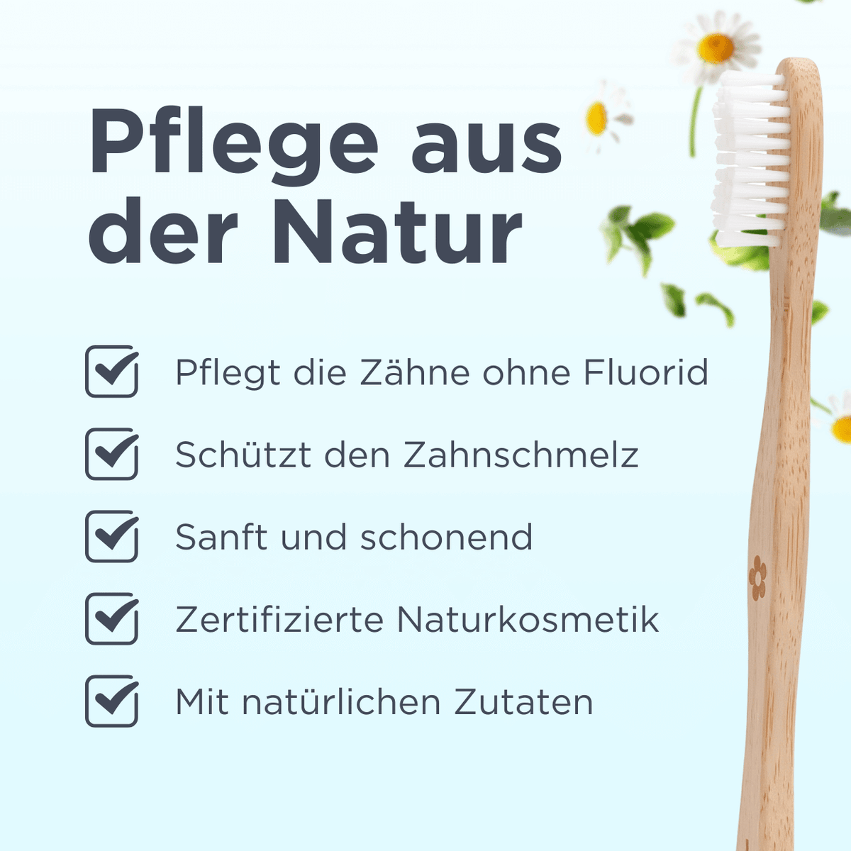 Fluoridfreies Zahnpulver Kräuter