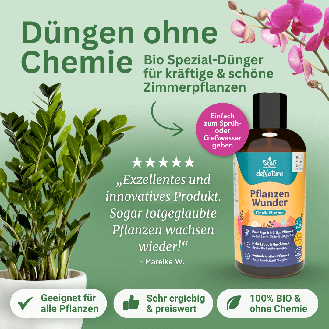 BodenWunder – Bodenverbesserer aus Pflanzenkohle