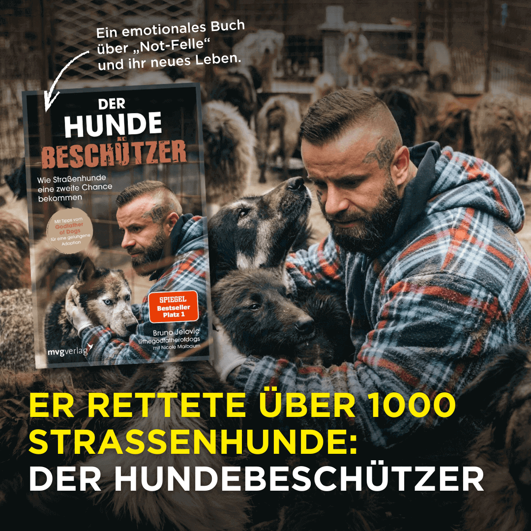 Der Hundebeschützer