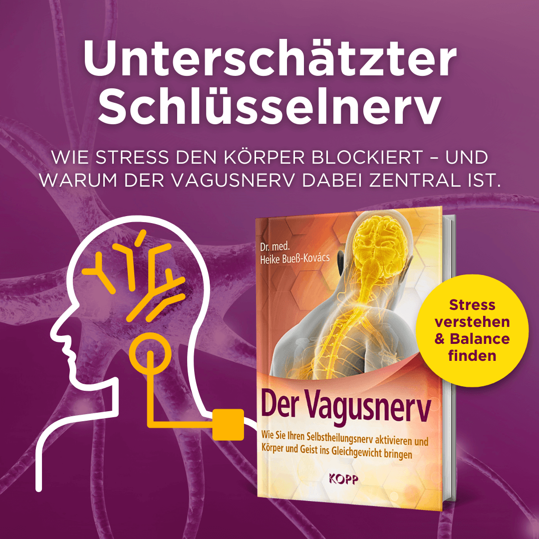 Der Vagusnerv