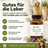 Basis Leber Mischung Kapseln für Hunde und Katzen