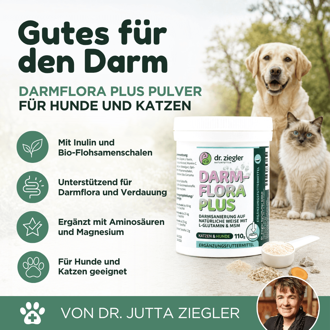 Darmflora Plus Pulver für Hunde und Katzen
