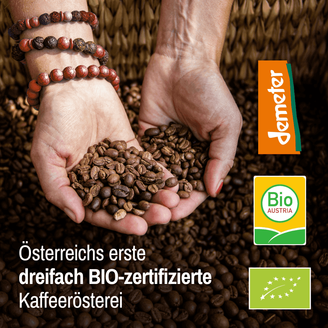 Bio Arabica Röstkaffee „Mexiko“