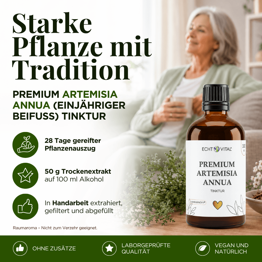 Premium Artemisia annua (Einjähriger Beifuß) Tinktur