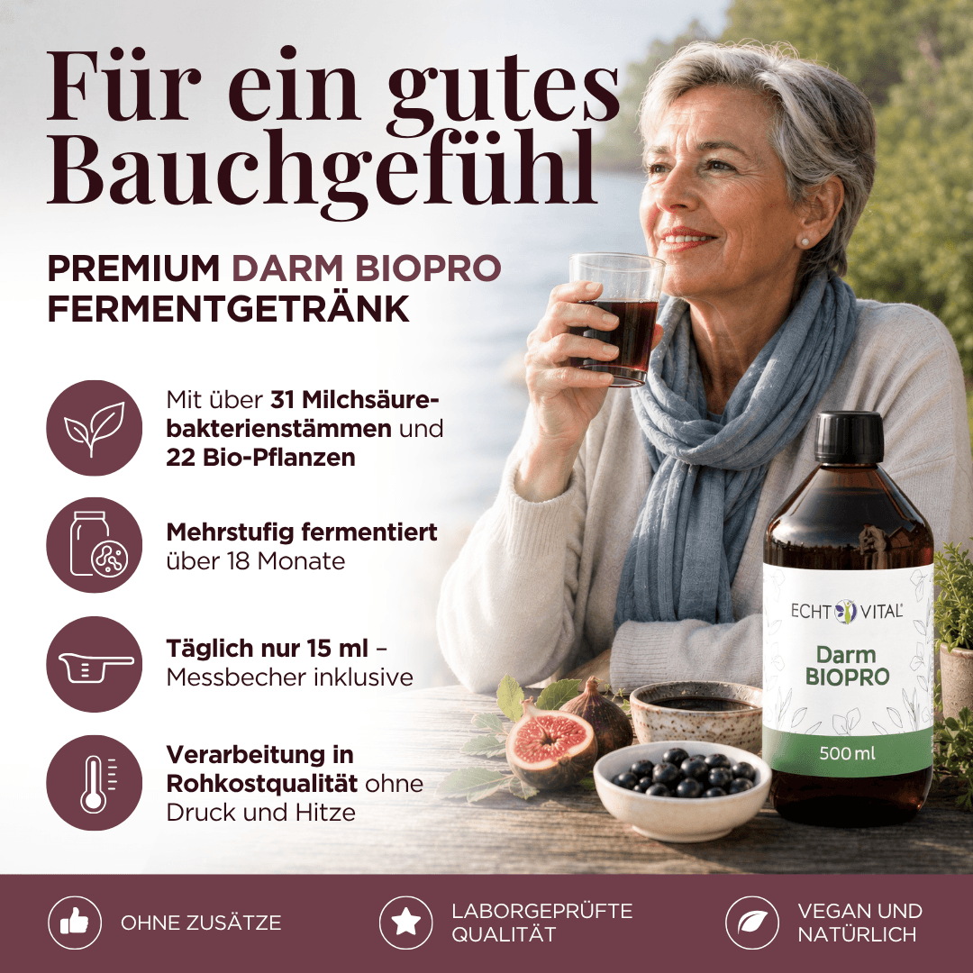 Darm Biopro Fermentgetränk
