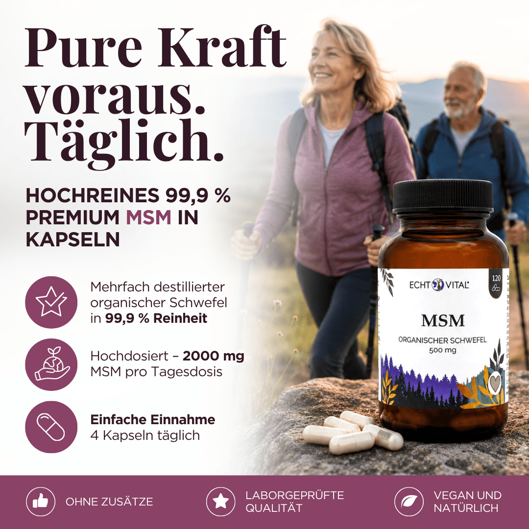 MSM Kapseln
