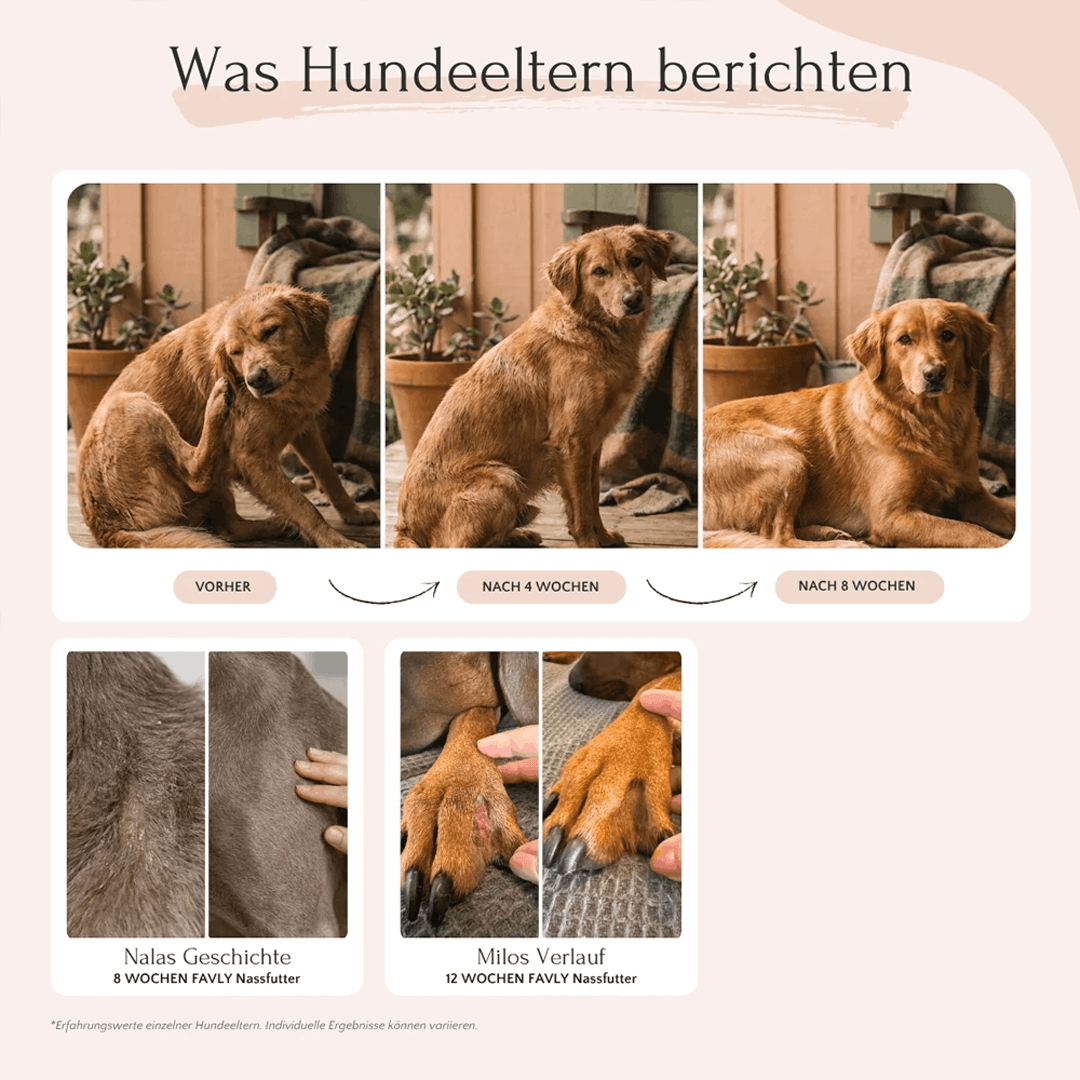 PURE Bites Pferd für Hunde