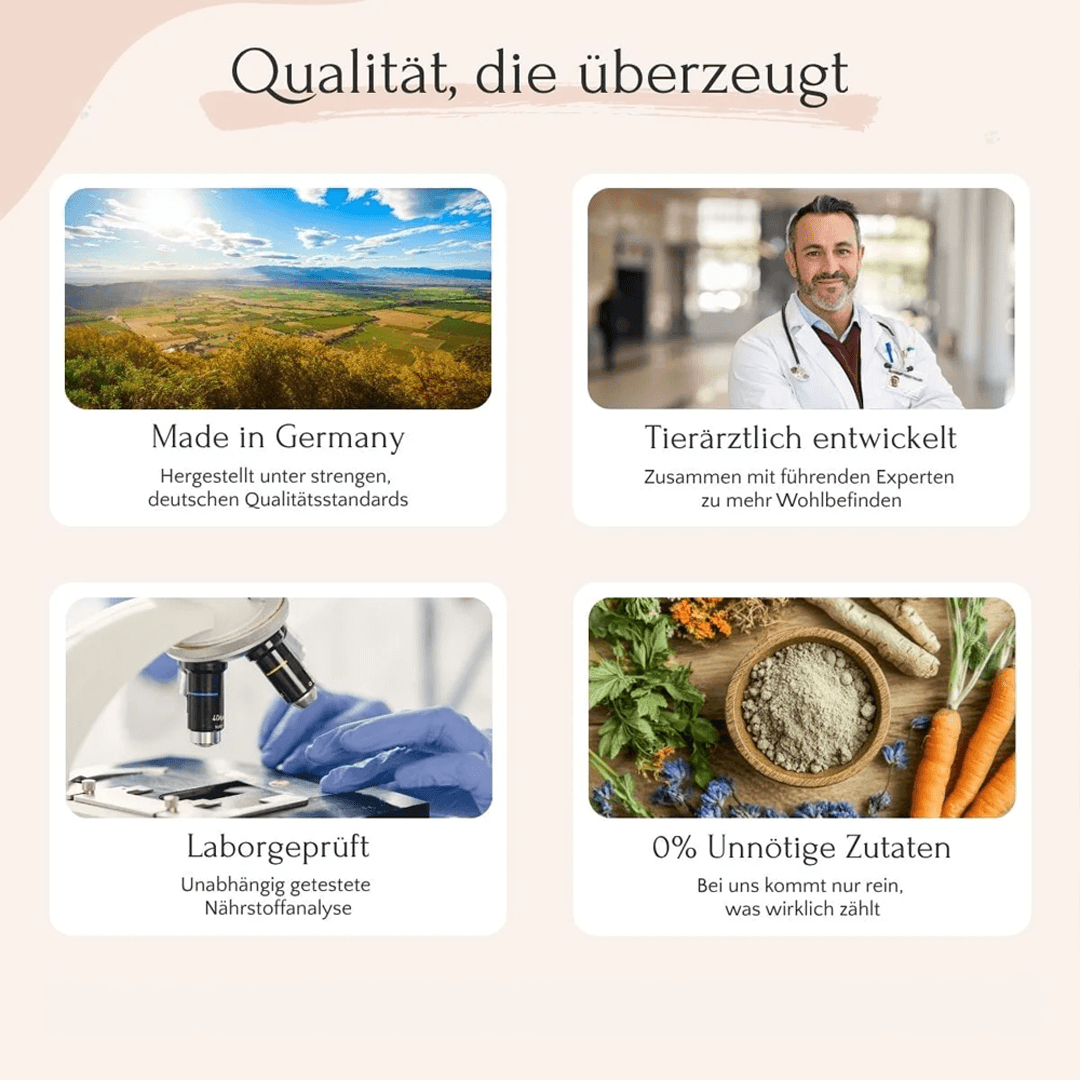 PURE Bites Pferd für Hunde