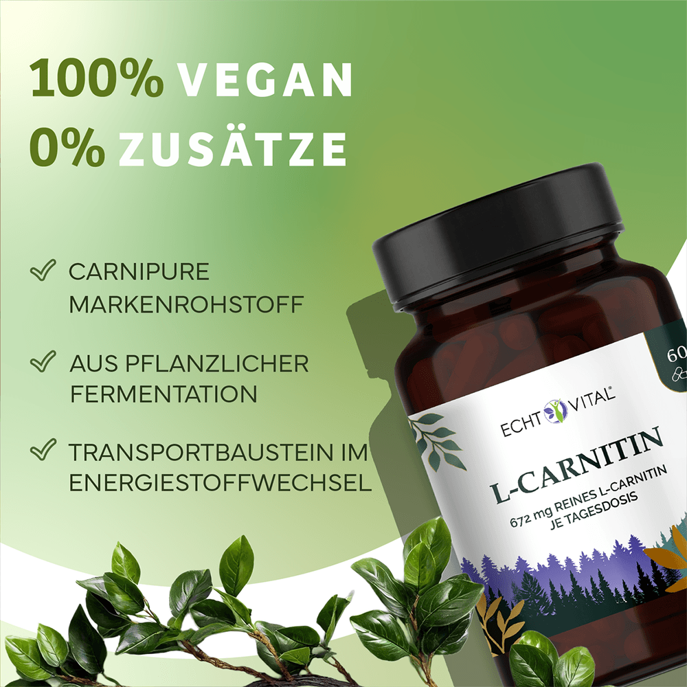 L-Carnitin Kapseln aus pflanzlicher Fermentation