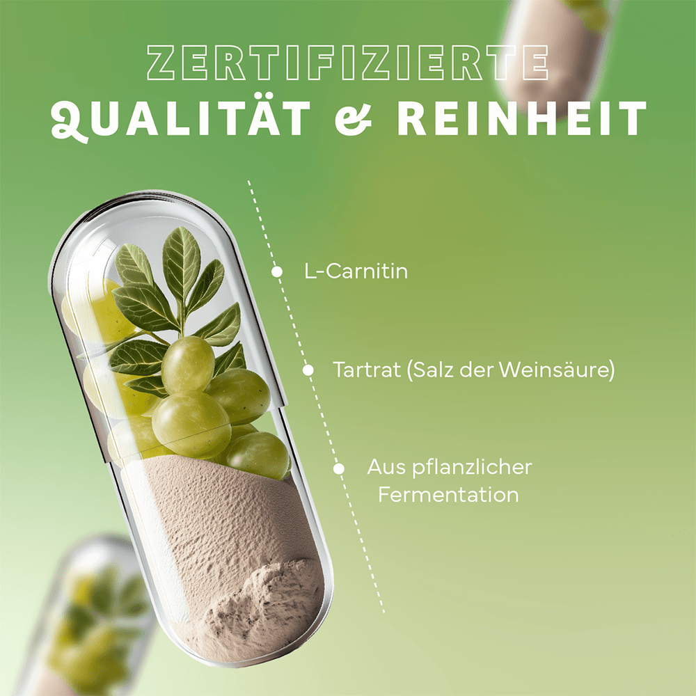 L-Carnitin Kapseln aus pflanzlicher Fermentation