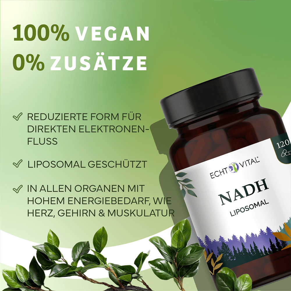 NADH Liposomal Kapseln