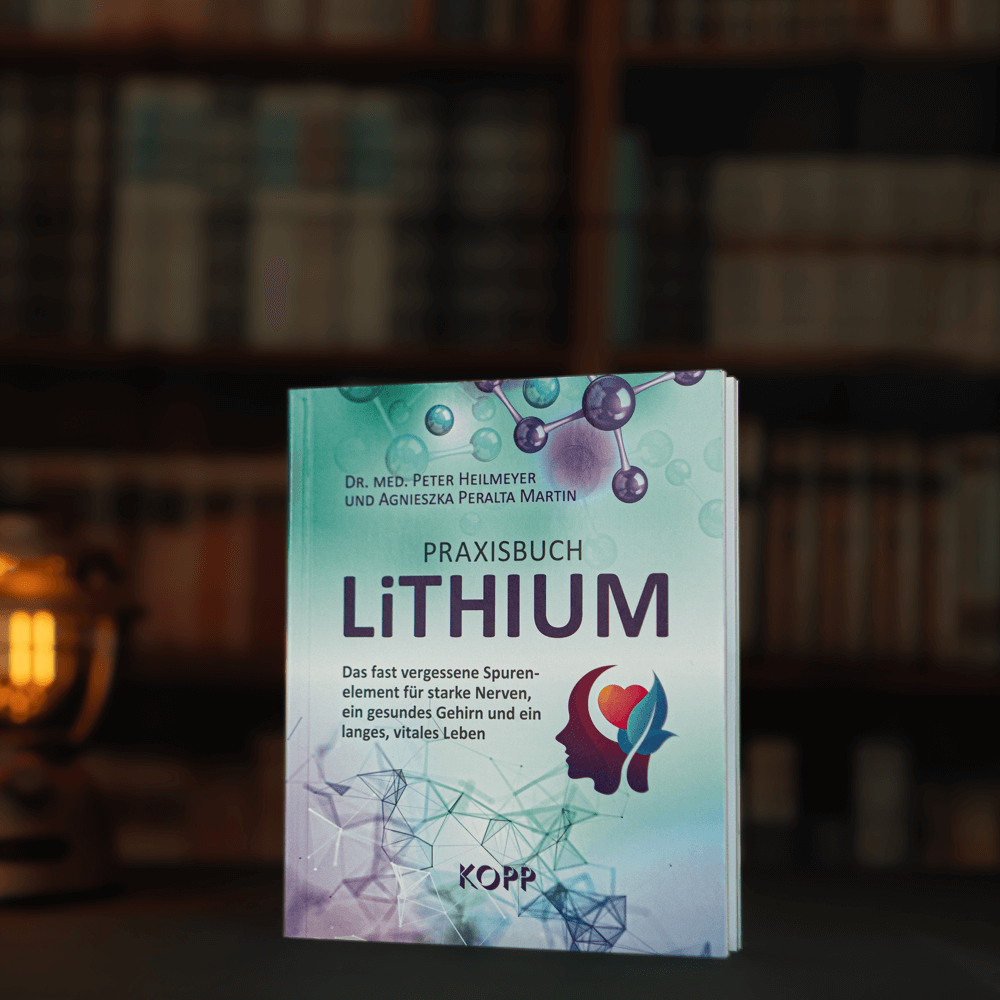 Praxisbuch Lithium