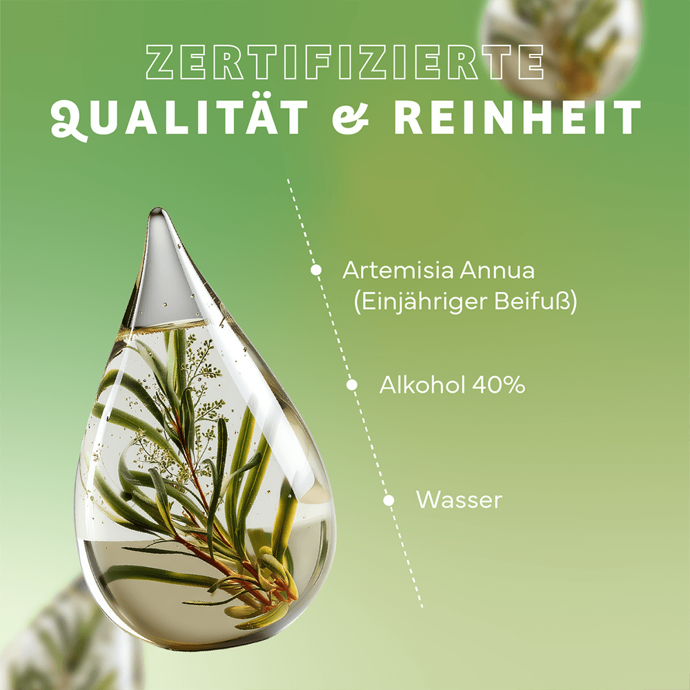 Premium Artemisia annua (Einjähriger Beifuß) Tinktur