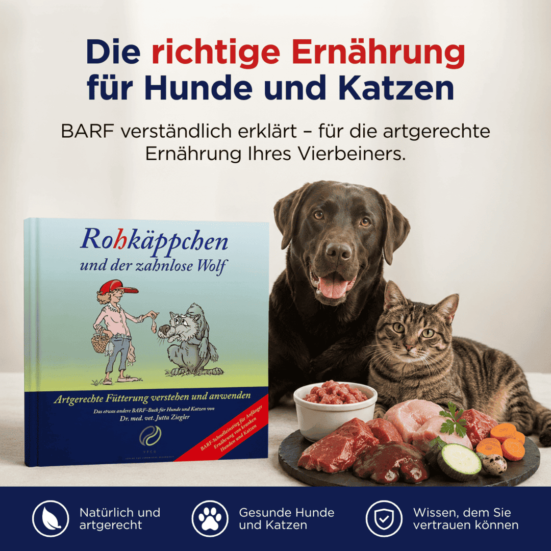 Rohkäppchen und der zahnlose Wolf