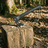 Survival Axt mit Handsäge