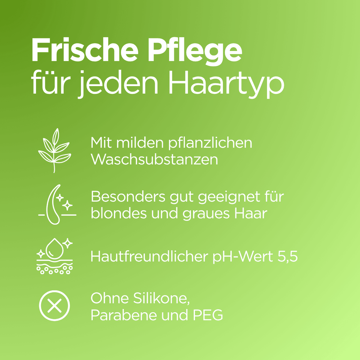 Bio Shampoo mit Bergkräutern