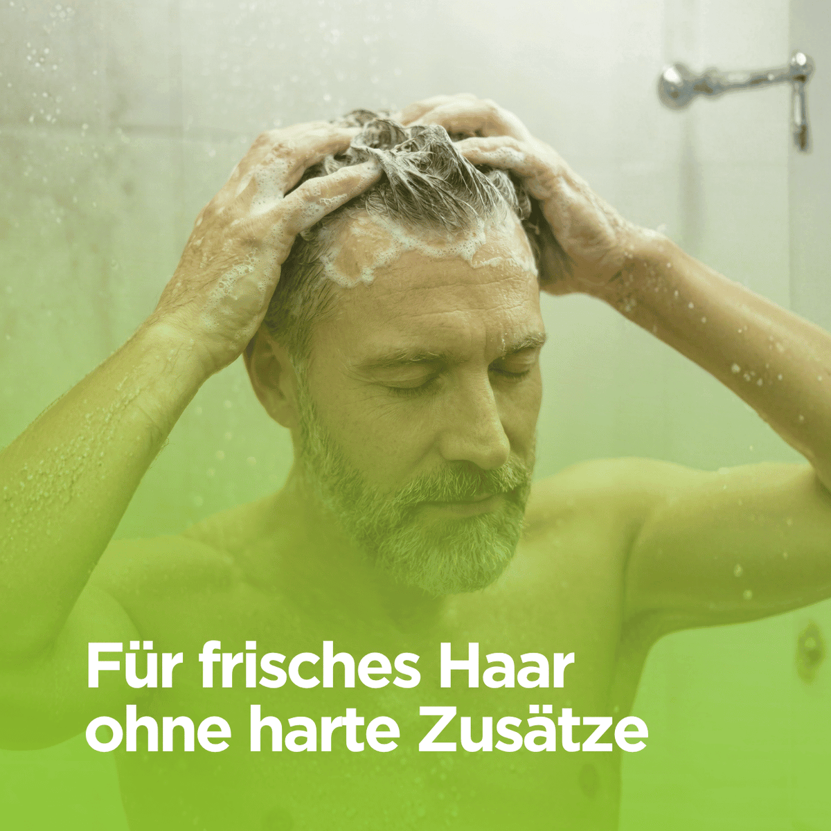 Bio Shampoo mit Zirbenöl