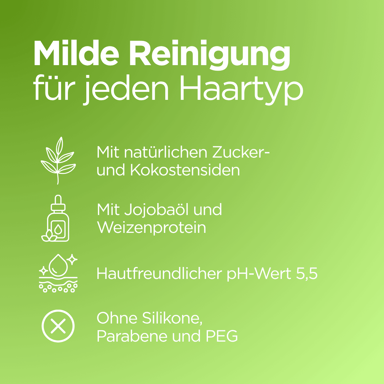 Bio Shampoo Heublume