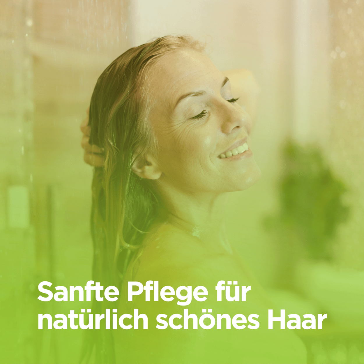 Bio Shampoo mit Zirbenöl