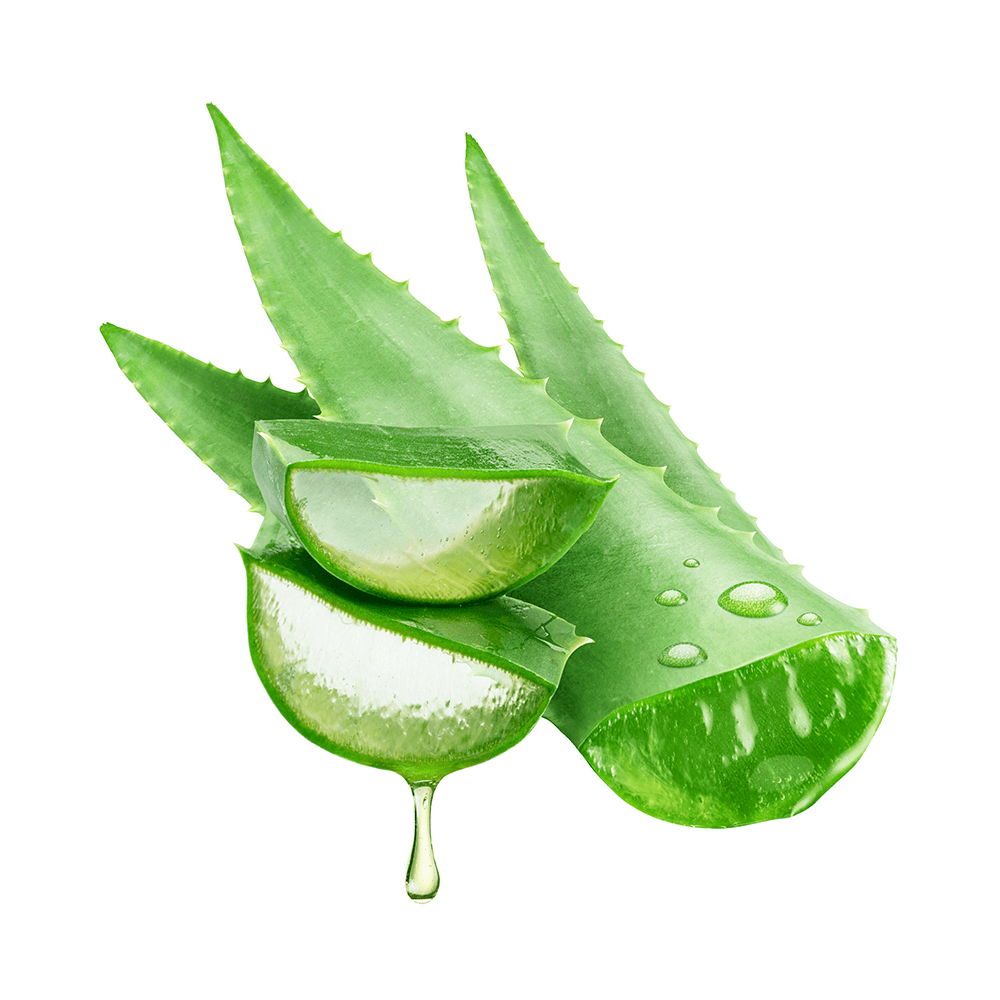 Aloe Vera Extrakt Kapseln