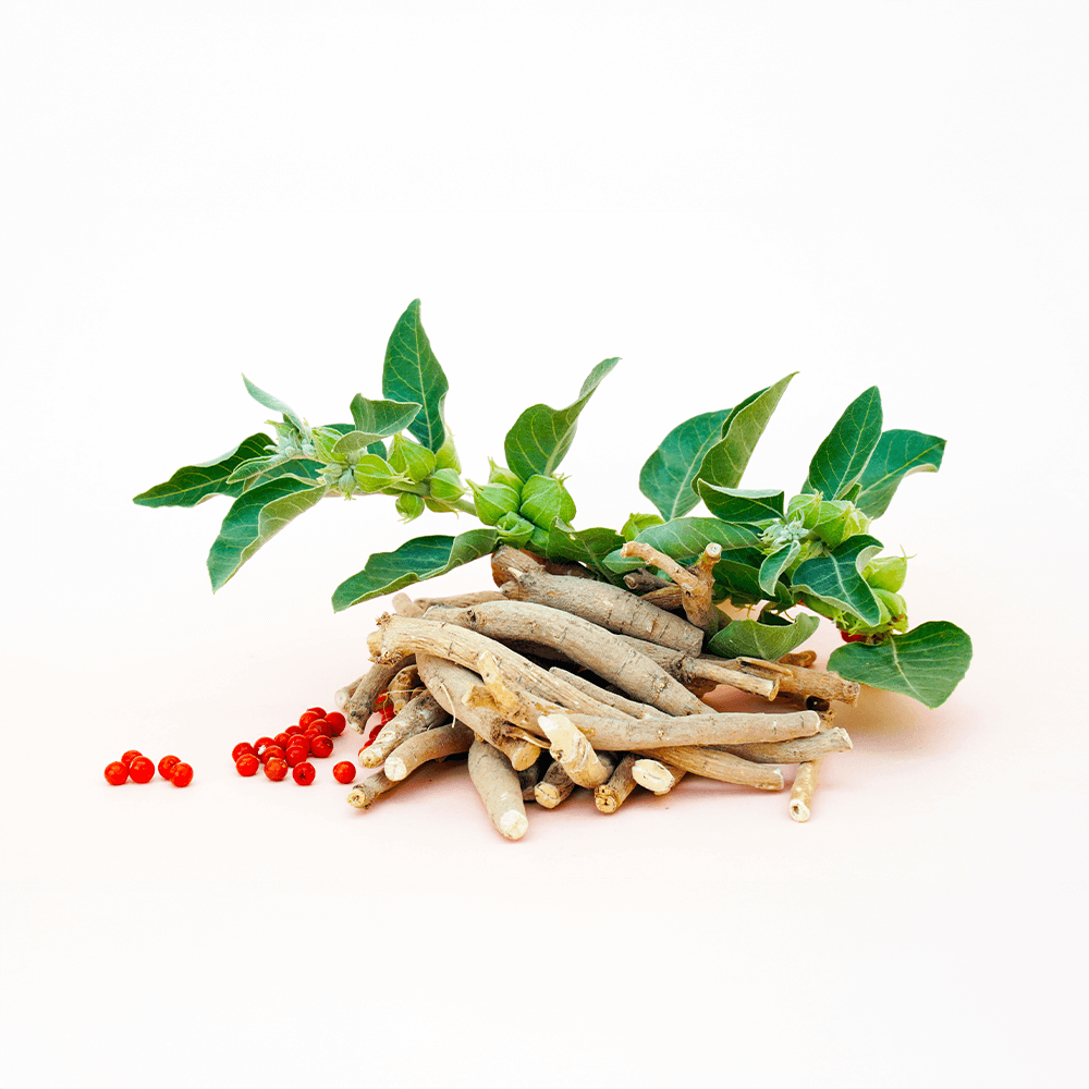 Ashwagandha Kapseln