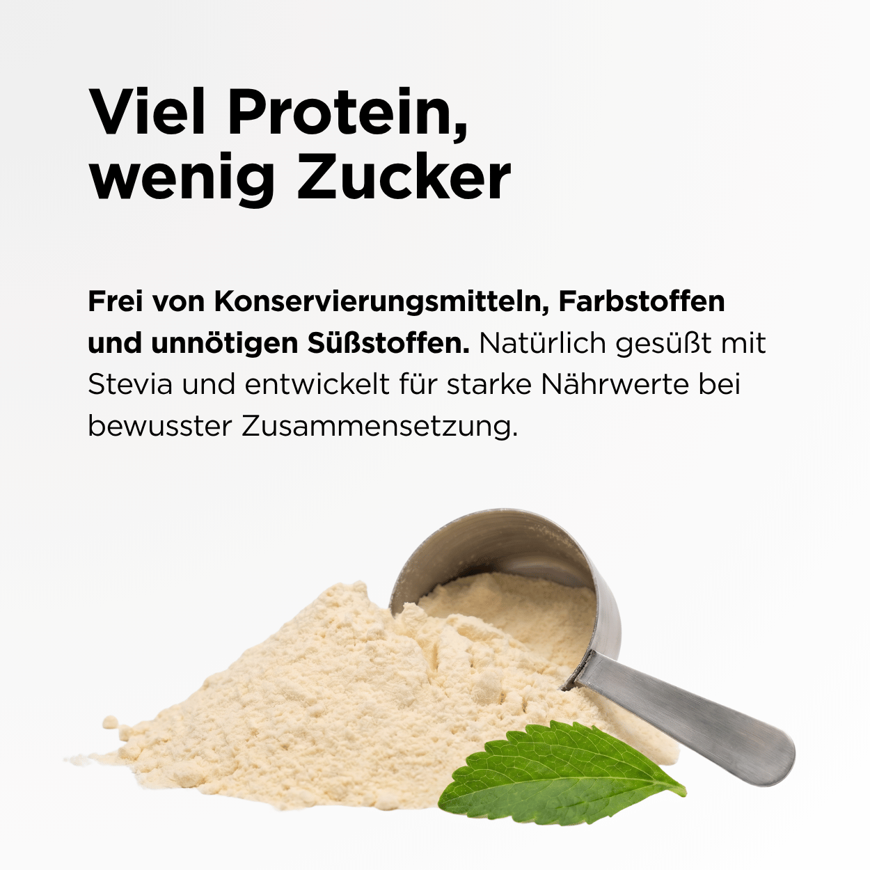 Pflanzliches Protein Vanille