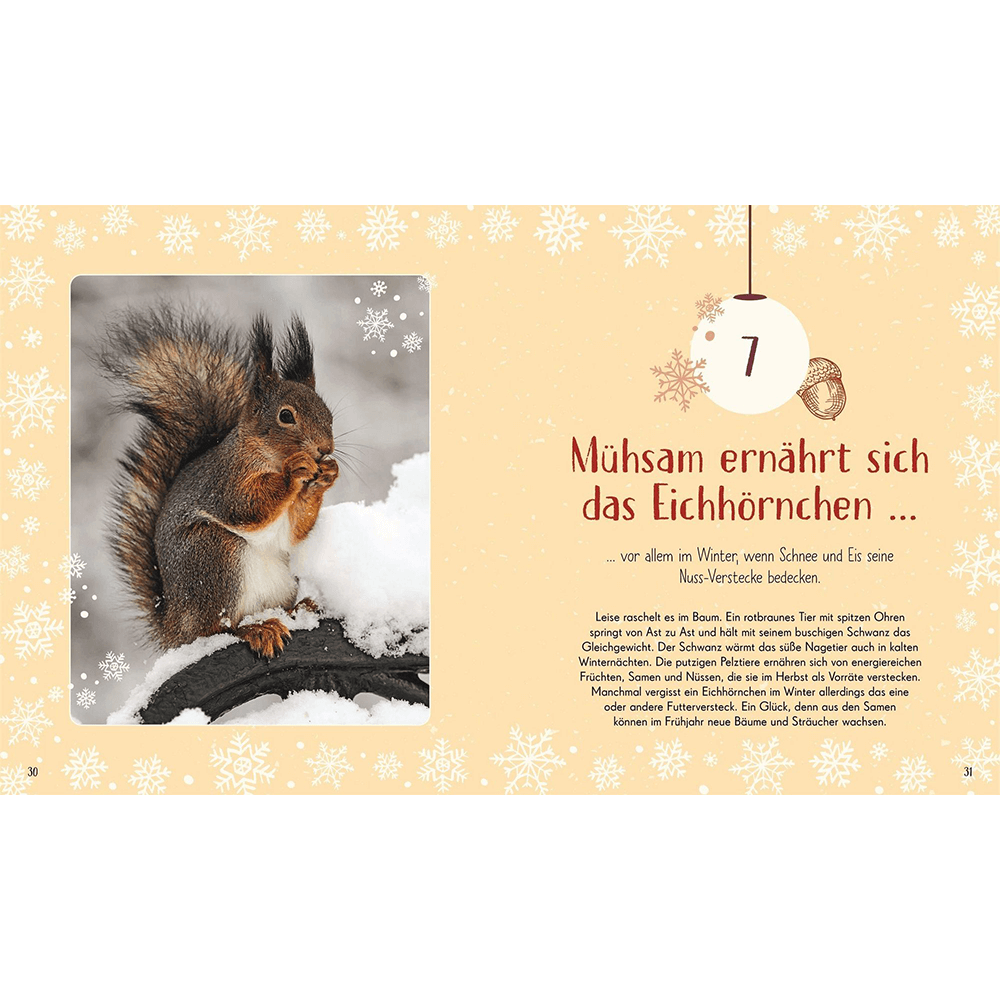 Wundervolle Welt – Adventskalender