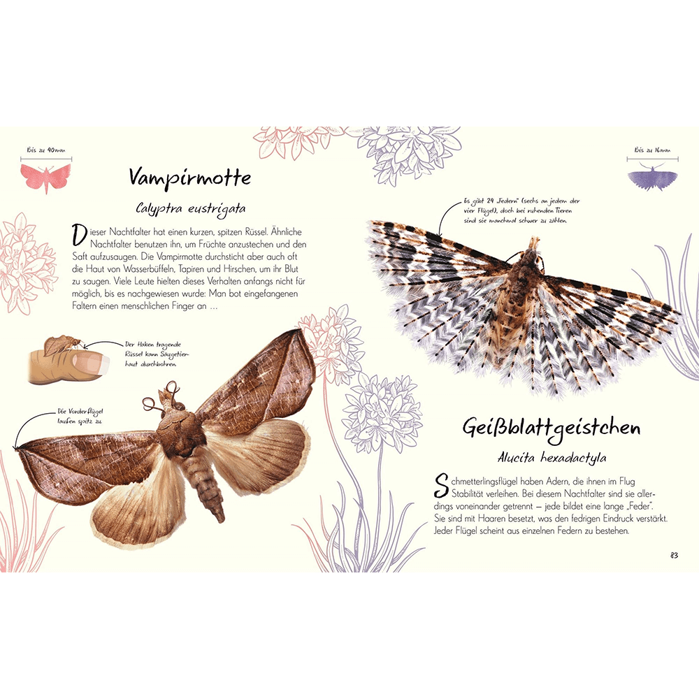 Wundervolle Welt – Kleine Schätze. Schmetterlinge