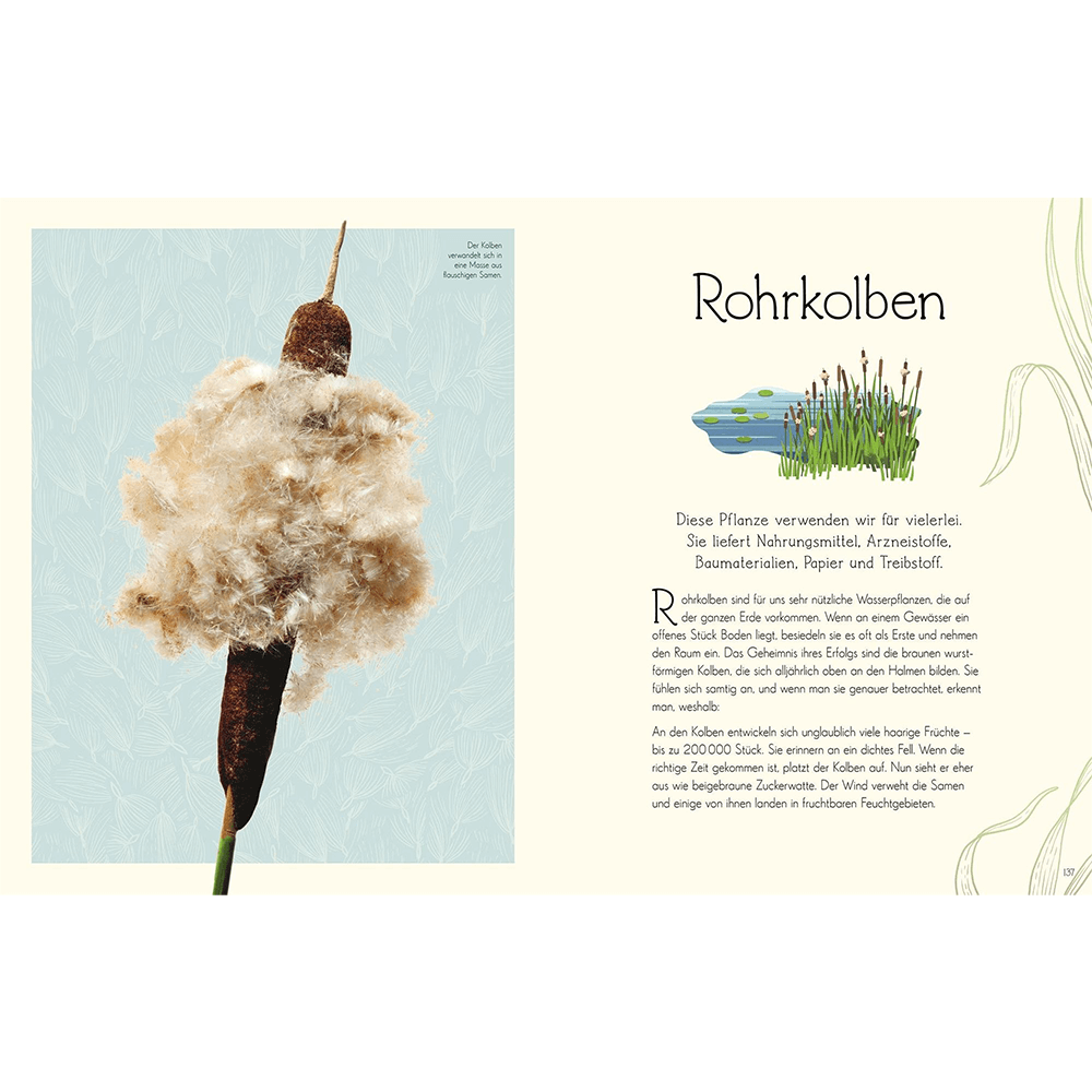 Wundervolle Welt – Wasser