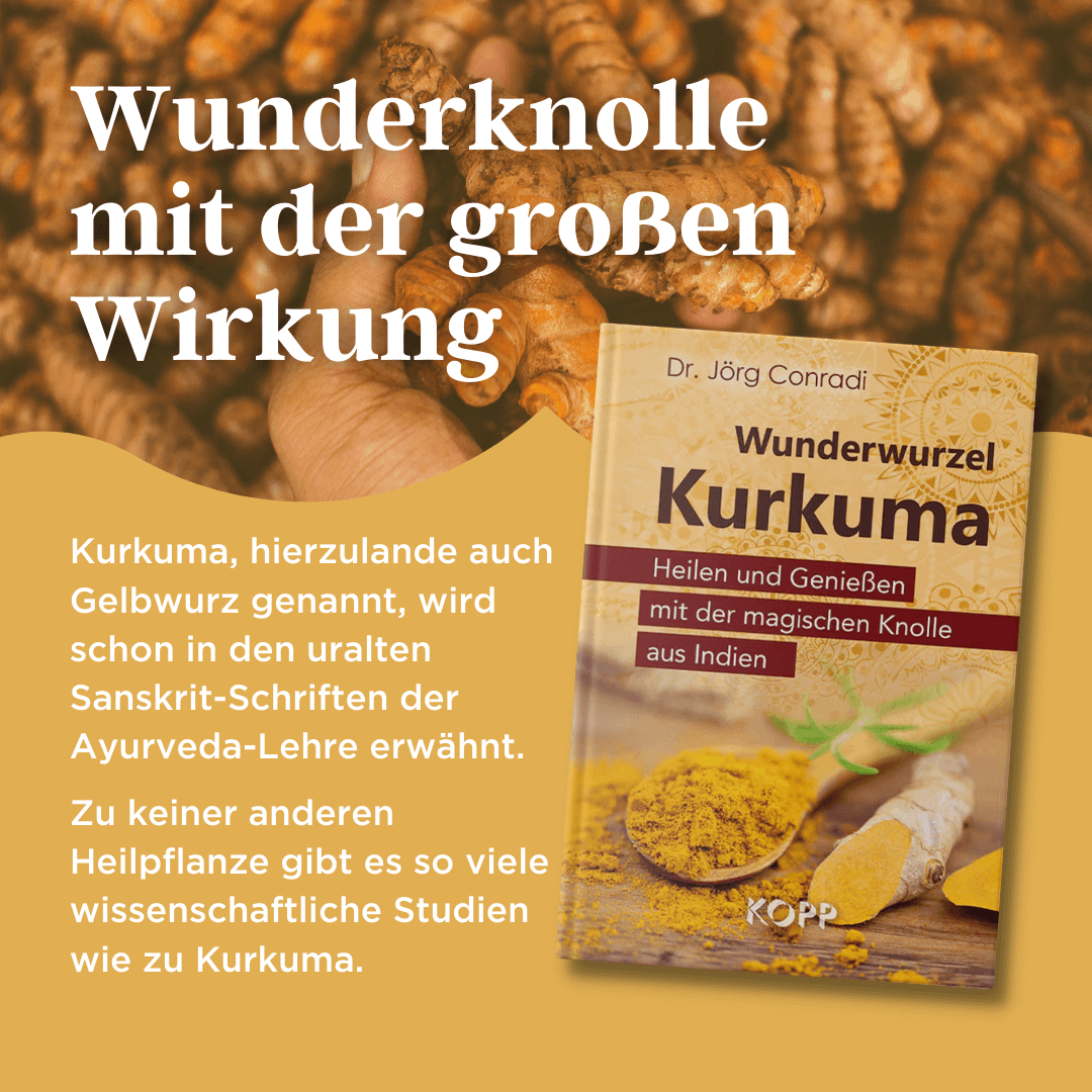 Wunderwurzel Kurkuma