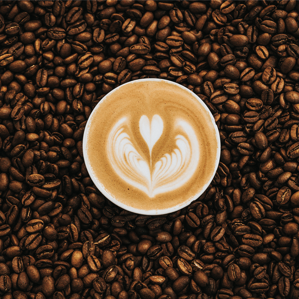 Bio Kaffee Premium
